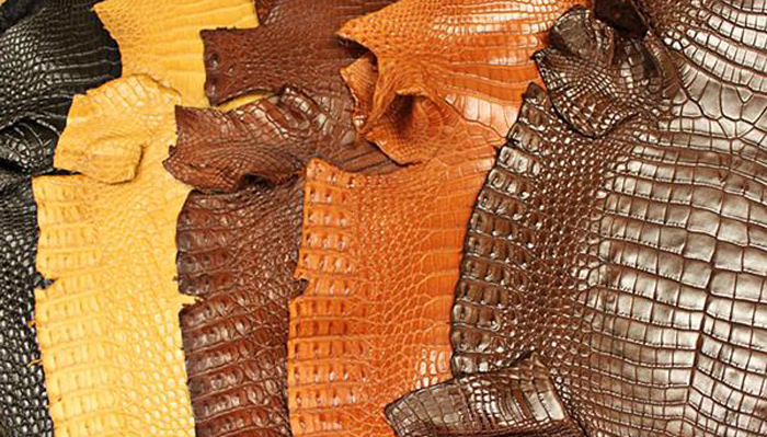 کمربند چرم کروکودیل