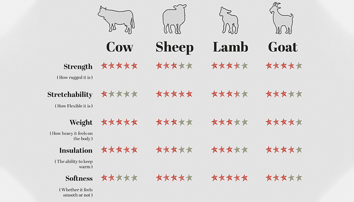 چرم بزی بهتره یا گاوی